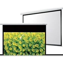 Projection Screen 250 x 250.jpg